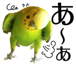 inko no oujisama sticker #13606601