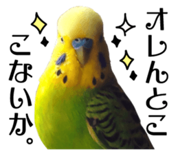 inko no oujisama sticker #13606602