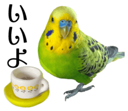 inko no oujisama sticker #13606603