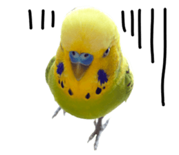 inko no oujisama sticker #13606604