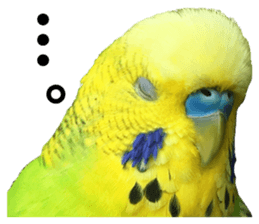 inko no oujisama sticker #13606606