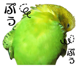 inko no oujisama sticker #13606608