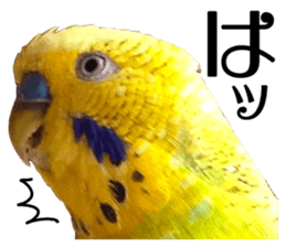 inko no oujisama sticker #13606609