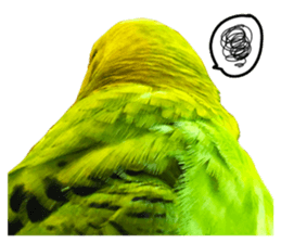 inko no oujisama sticker #13606611