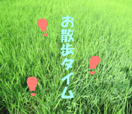 cat and landscape sticker #13607703