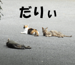 cat and landscape sticker #13607706