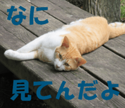cat and landscape sticker #13607707