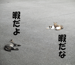 cat and landscape sticker #13607709