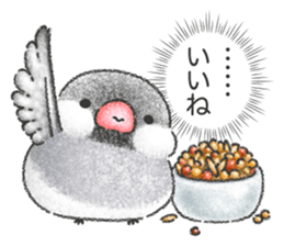 Stickers of Java Sparrow sticker #13608088