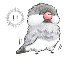 Stickers of Java Sparrow sticker #13608091