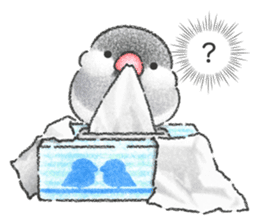 Stickers of Java Sparrow sticker #13608092