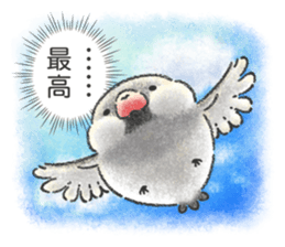 Stickers of Java Sparrow sticker #13608093