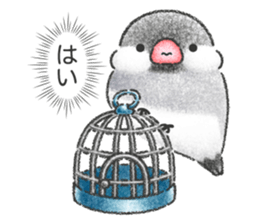 Stickers of Java Sparrow sticker #13608094