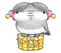 Stickers of Java Sparrow sticker #13608095