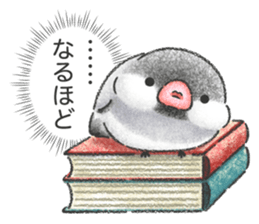 Stickers of Java Sparrow sticker #13608096