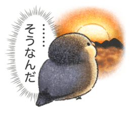 Stickers of Java Sparrow sticker #13608097