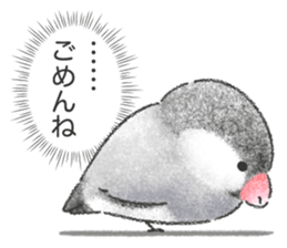 Stickers of Java Sparrow sticker #13608100