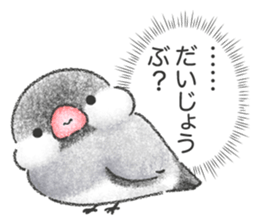 Stickers of Java Sparrow sticker #13608101