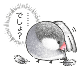 Stickers of Java Sparrow sticker #13608105