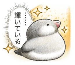 Stickers of Java Sparrow sticker #13608107