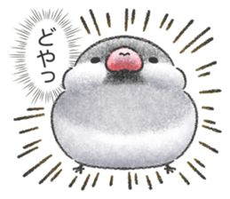 Stickers of Java Sparrow sticker #13608108