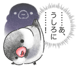 Stickers of Java Sparrow sticker #13608112