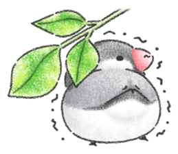 Stickers of Java Sparrow sticker #13608113