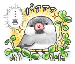Stickers of Java Sparrow sticker #13608118
