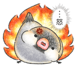 Stickers of Java Sparrow sticker #13608119