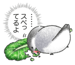 Stickers of Java Sparrow sticker #13608124