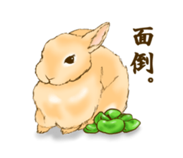 rabbit and broad beans sticker #13610904