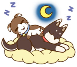 KibaCott sticker #13611609