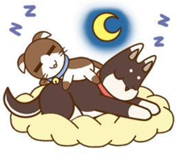 KibaCott sticker #13611609