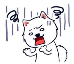 Japanese Spitz-Michael-practical sticker #13611680