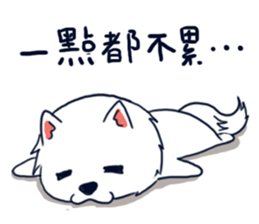 Japanese Spitz-Michael-practical sticker #13611686