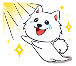 Japanese Spitz-Michael-practical sticker #13611693