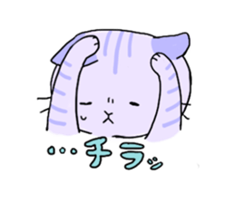 collarcat sticker #13612147