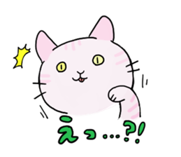 collarcat sticker #13612152