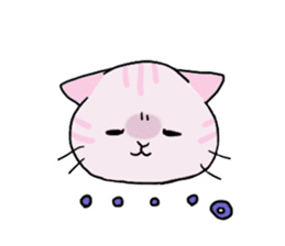 collarcat sticker #13612158