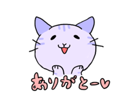 collarcat sticker #13612161