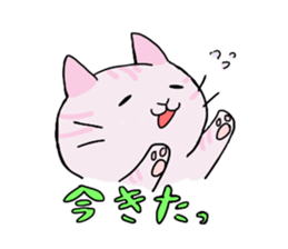 collarcat sticker #13612166