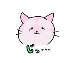 collarcat sticker #13612172