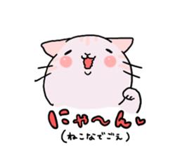 collarcat sticker #13612174
