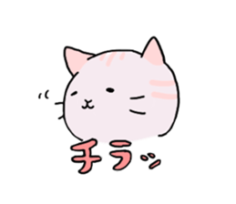 collarcat sticker #13612178