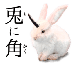 rabbit horn sticker #13612790
