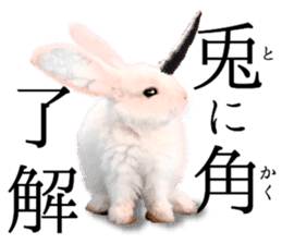 rabbit horn sticker #13612791