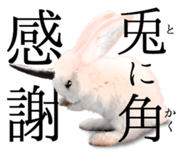 rabbit horn sticker #13612793