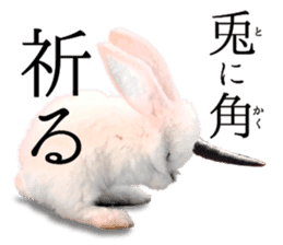 rabbit horn sticker #13612797