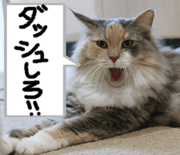 Instead tell the cat part4 sticker #13614635