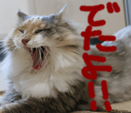 Instead tell the cat part4 sticker #13614636